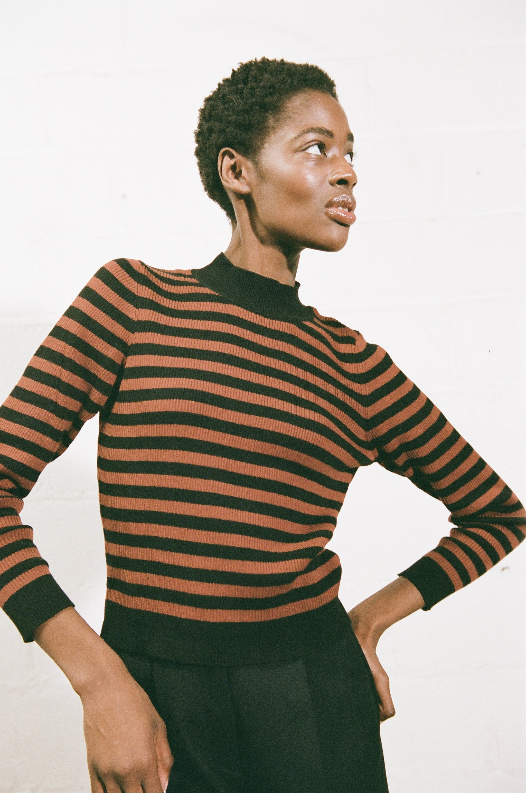 JANE RIBBED TURTLENECK | cacao stripe | organic